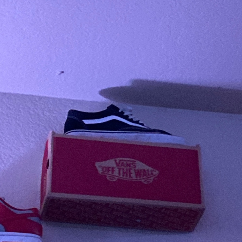 Old school vans
